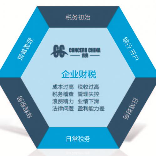 上海一站式財(cái)稅與知識(shí)產(chǎn)權(quán)服務(wù) 專(zhuān)業(yè)代理記賬與全方位解決方案